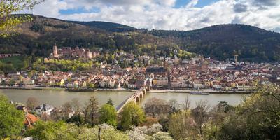 Heidelberg, Update, Umleitungen, Buslinien, Aufgrund, Straßen, Unteren, Neckar, Lage, Verkehr