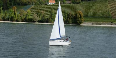Rudern, Bodensee, Bootsunglück, Touristengruppe, Informationen, Thema, Lesen