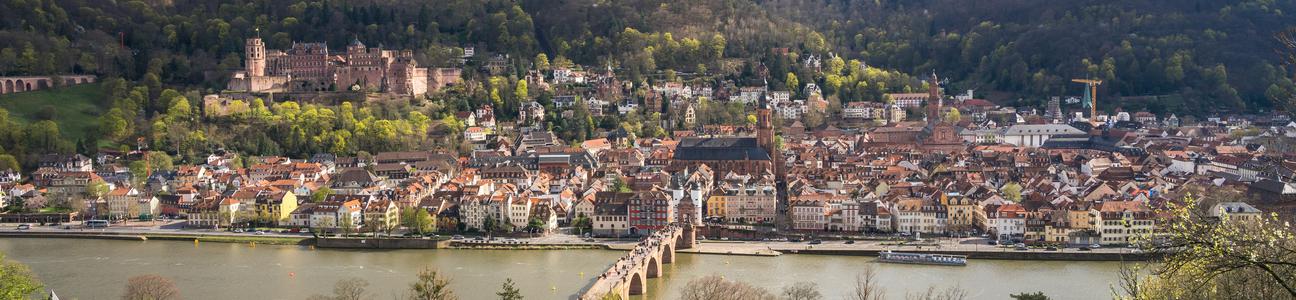 Heidelberg, Biowetter, Pollenflug, Wetter, Allergie, Einfluss, Region, Gesundheit, Vorhersage, Wohlbefinden