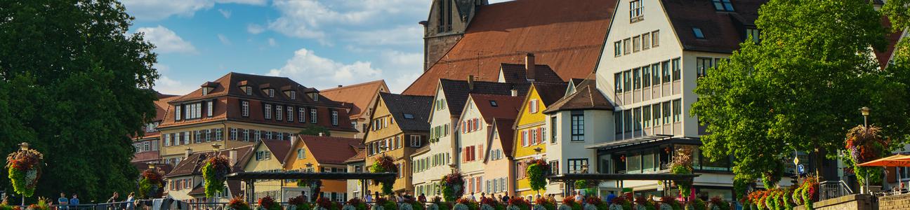 Tübingen, Pollenflug, Biowetter, Wettervorhersage, Gesundheit, Wetterfühligkeit, Überblick, Region, Vorhersage, Allergie