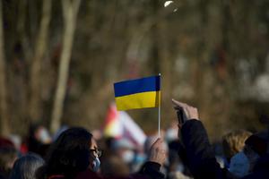 Demonstranten, Embargo, Gas, Ukrainische, Krieg, Putins, Kundgebung, Osnabrück