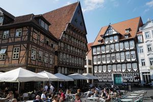 Hildesheim, Biowetter, Wetter, Pollenflug, Wettervorhersage, Region, Überblick, Allergie, Gesundheit, Beschwerden