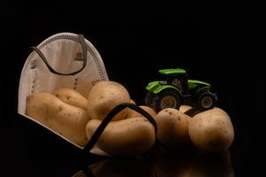 Kartoffeln, Hanstedt, Grund, Fragen, Alltags, Verbrauchertipp