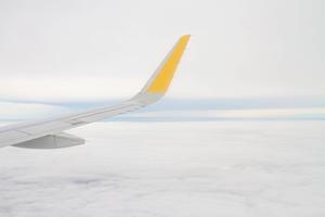 Lufthansa, Warnstreik, Schock, Fluggäste, Frankfurt, Grund, Verdi, Flugzeuge, Boden, Corona