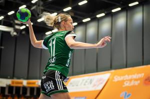 Meister, Handball