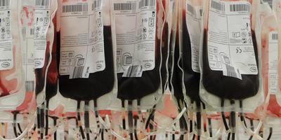 Blutspenden, Transfusionsmediziner, Mannheim, Aktuell