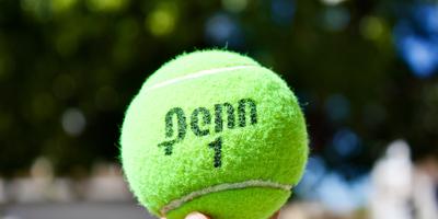 Tennis, Djokovic, Jahr, Aviv, Novak, Tel, Final, Cilic, Erfolg, Weltranglisten