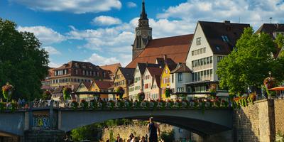 Tübingen, Biowetter, Pollenflug, Wetter, Allergie, Einfluss, Region, Gesundheit, Vorhersage, Wohlbefinden