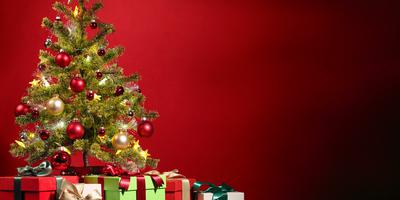 Weihnachtsgeschenke, Wollmützen, Landauer, Kinderschutzbund, Hand, Schuhe, Adventstürchen, Ware, Landau, Second