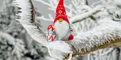 Weihnachtsmann, Gefährt, Engeln, Unterstützung, Briefe, Wunschzettel, Elektro, Brandenburger, Schlitten, Weihnachtspostfiliale